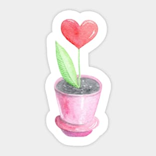 Heart plant in pink pot Sticker